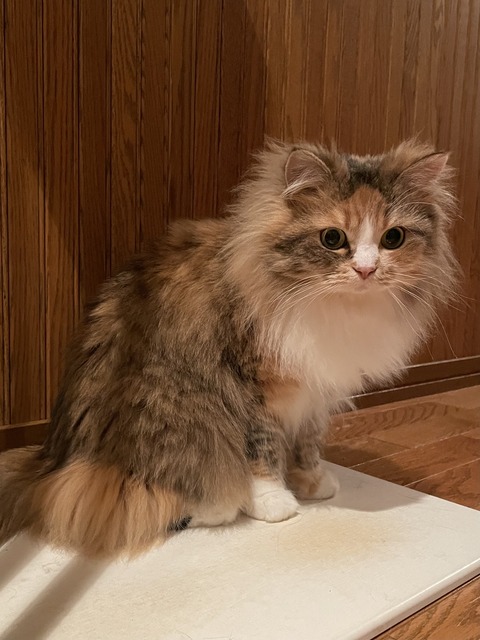 55F0A469-C324-45E4-A4D2-1779C2148236