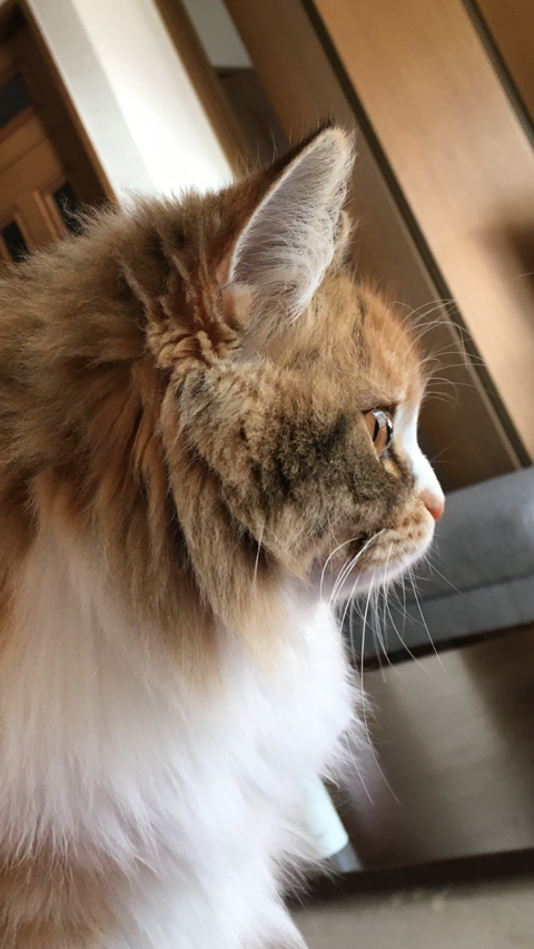 B6F50FAF-46F7-4323-B1E1-4C1389CEF0FE