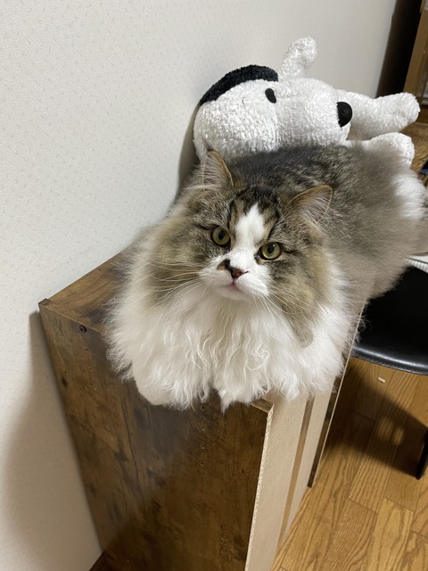 558E050F-E05C-40A1-8EBE-2D1FA78D5229