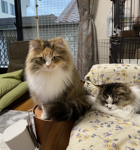 2B8BFD4F-01D1-4860-B5BA-161EE1FBFD09