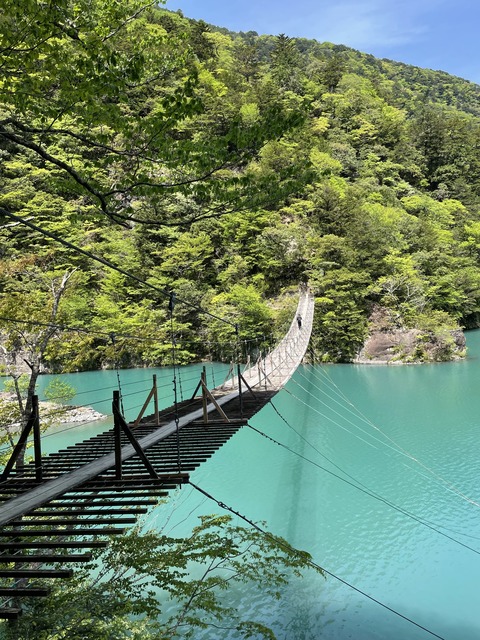 1D1D69E0-AB16-4AC9-9665-8C3D0178EC56