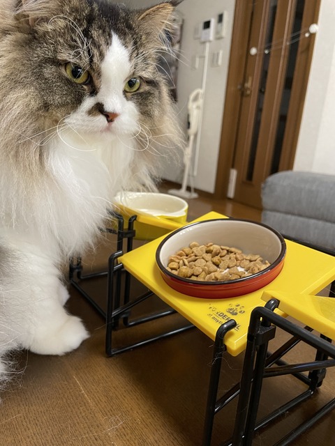 053C7EB5-F0EA-474E-9362-A8F9521F2806