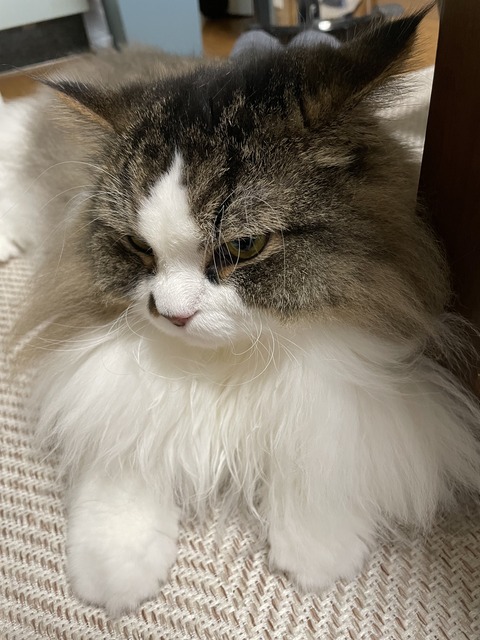 AE4A4C57-7C1E-4492-8DC5-CE29B209D832