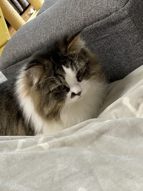 16BA6AD2-A43A-43A0-AE4C-40D32DE7FB3F