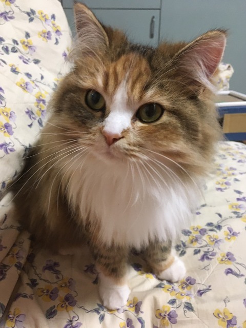 8A48555C-5E2D-4A2E-A4AC-E11C513FF147