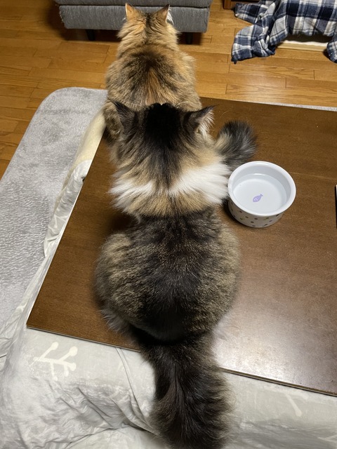 BB502E50-A916-4039-87F2-6E99FCFEF396