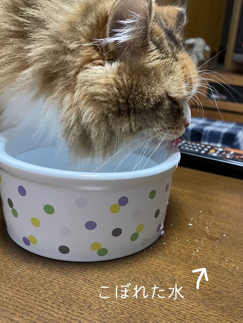 A17A10D8-4EA4-47C2-B9AE-D825ADDFBFD4