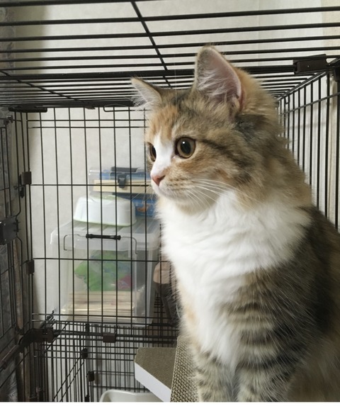 9A42B917-597B-48A2-87F2-7D3B85F0B37C