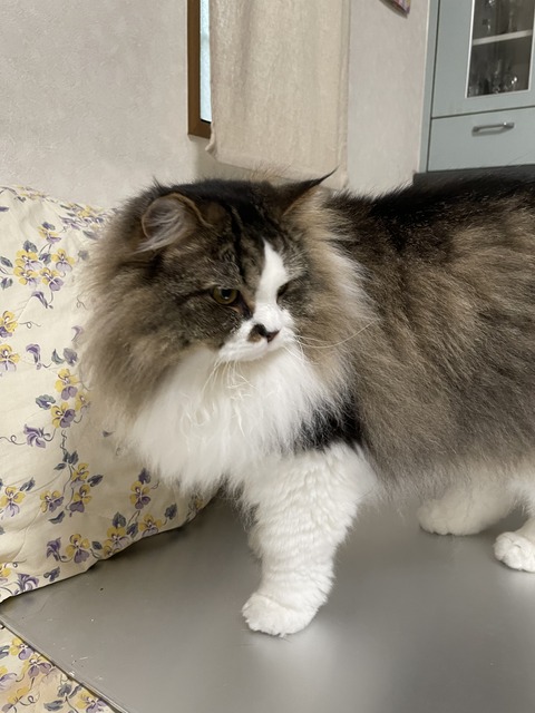 86C3E904-55BB-4D60-BEA2-FEC22413DDBF