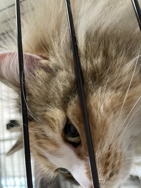 8832B4AB-5758-4ED7-A51E-4305D0684682