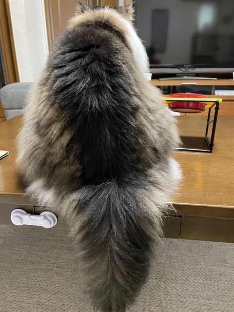 18D763A2-B667-4F80-B081-42642D20A9BD