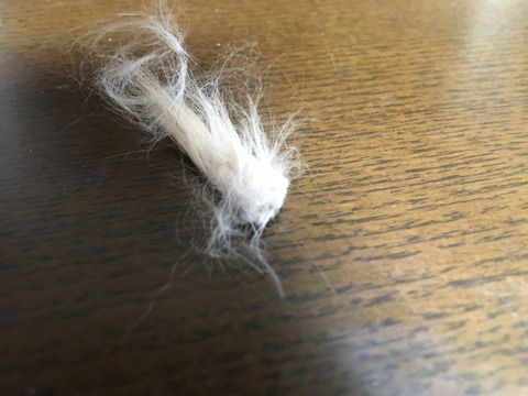 744607C5-C651-47AF-BBA0-79946DE182AD