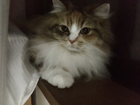 6A585B3F-5BF8-4F83-A853-8F101DB9211D