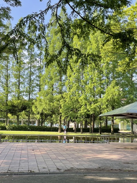 CF48ADBE-3C24-47E5-A9E7-5E13002FE2BB