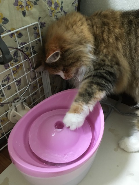 838CCA8F-FAAA-4CDE-97E9-FB20AEFA54C8