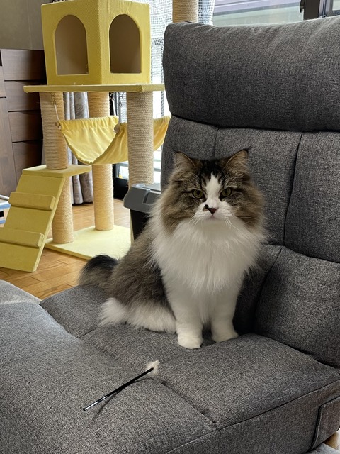 0DE08A93-ED07-4C15-8AD0-0F8DE7DFA92C