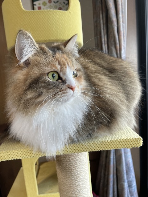 76796198-11D8-4341-9138-48ACCDAD5C40