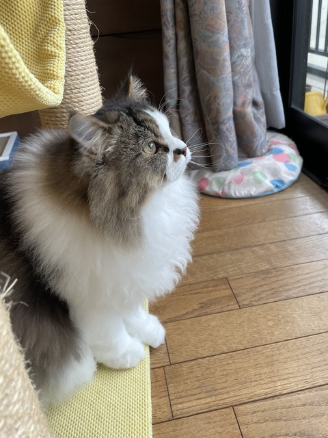 5FEC0EF0-DC6B-4FC1-8E6D-CB1696F528AE