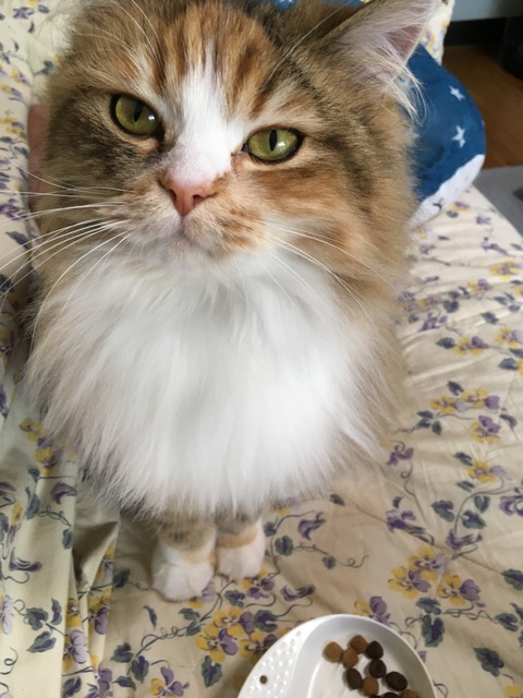 79E76F2D-2733-47FC-8F47-E256745E5BE3