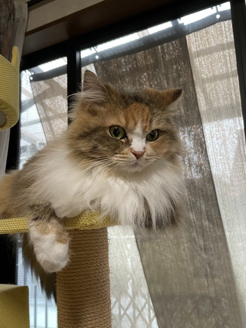 E930886C-23FC-49E7-9F06-1FA682076A01