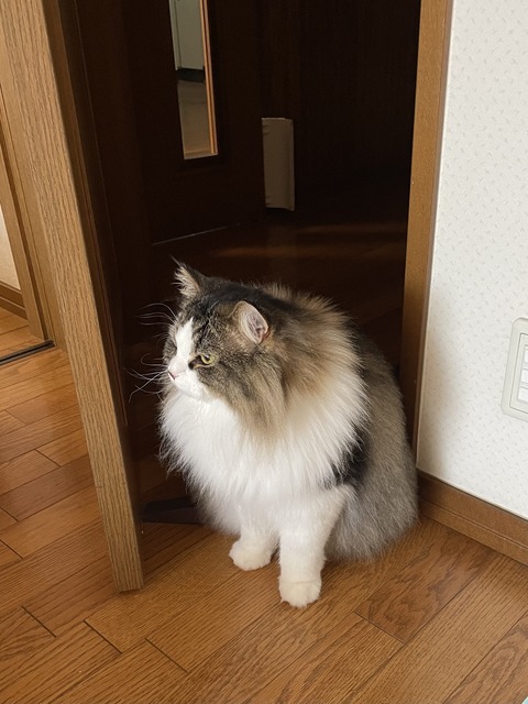 6261B0C6-089D-4875-9F52-74067B13A673