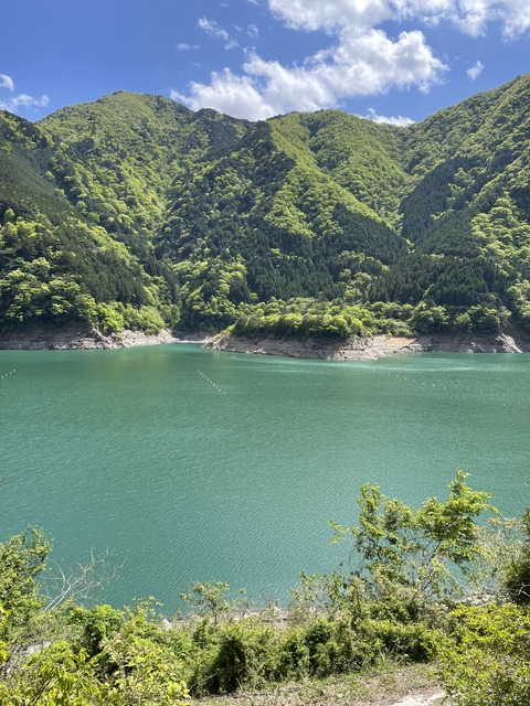 92A9F9E2-B501-43A1-B04A-3C65407E1CD2