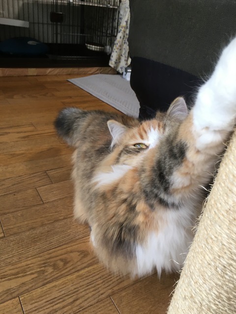 E976DCE1-5751-4565-9F9A-44D70E9D064D