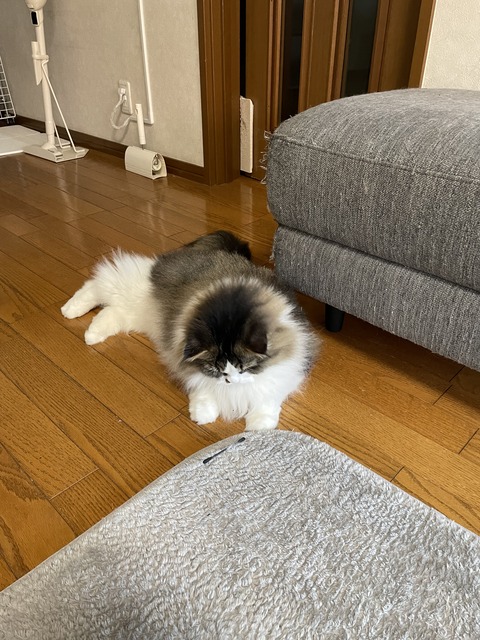 79FDEE1B-1C4C-4D72-9A4D-3DB2E5D1F61F