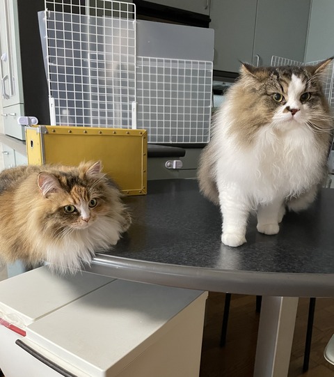 04D96FDF-A59A-4CE2-9AED-2E86F716A4EB