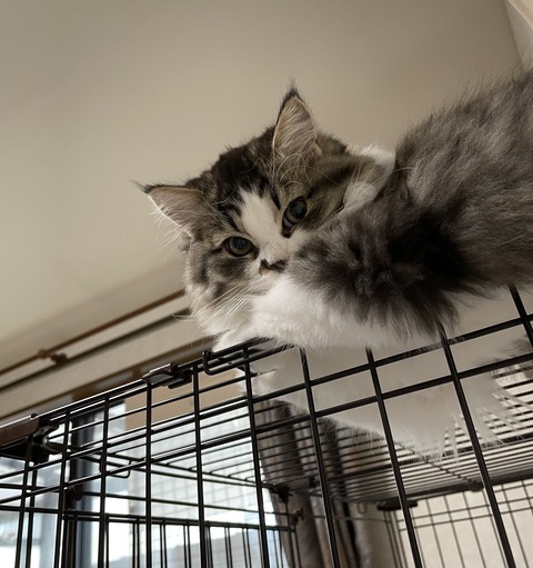 E3D82564-FDE5-4B4F-B641-F74C9E80CB85