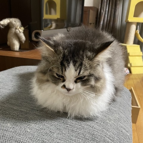 C54CEDF9-DF1E-4B09-AD0B-385C20D4D0BF