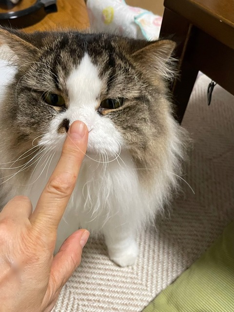 637BC405-D5E7-417D-A55E-65D0D1DB0483