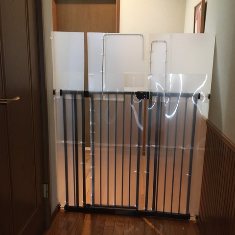 FF7E51C3-49B9-447C-9837-4B6D7F06D1E5