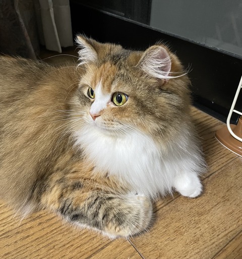 3C666775-14BB-48B2-9A80-0D71824AB05D