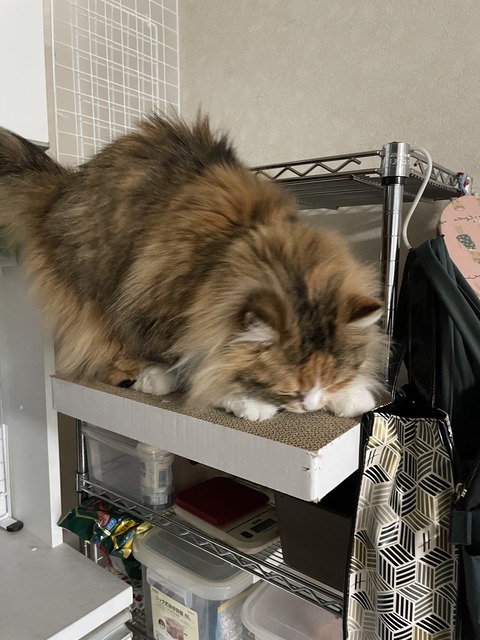 A5177C33-8FEF-4F5A-8AA6-DF5907CAAB58