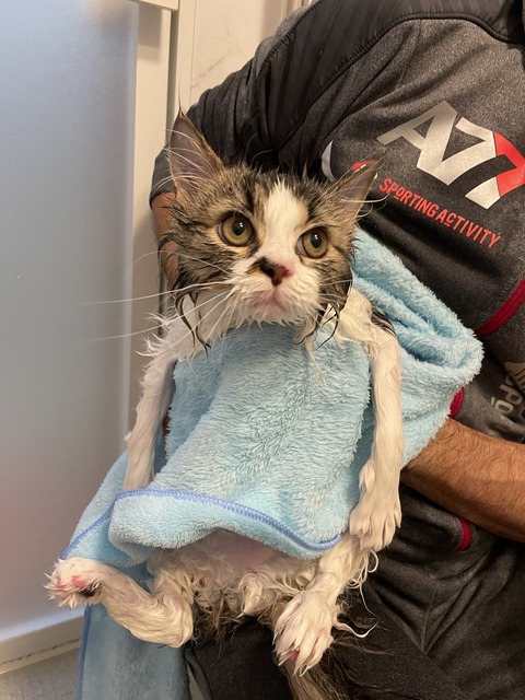 06FCC88B-5130-4D0B-AF19-82C0F893C3D6