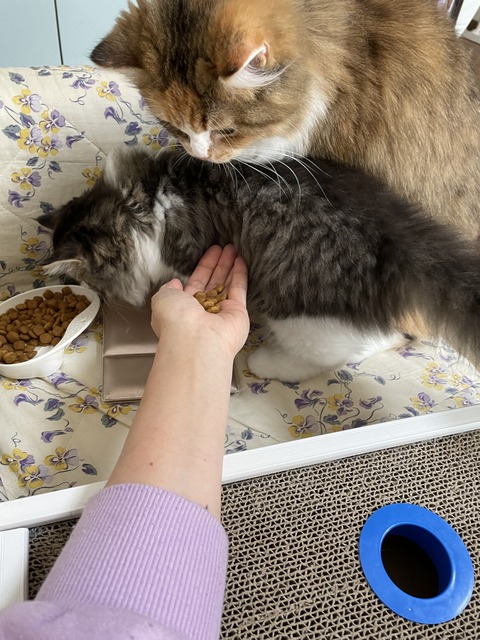 2944E474-5267-4648-AA86-B19D7E4525C5