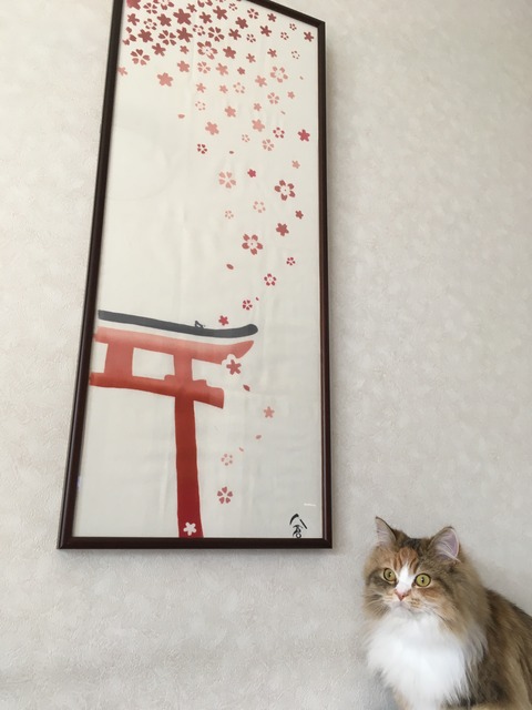 93A8AA7A-7465-47F3-9638-65AC339514CD