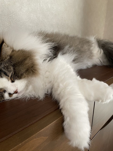 6A797AF2-F6A9-4A68-AE42-4FAEB72CDCD4