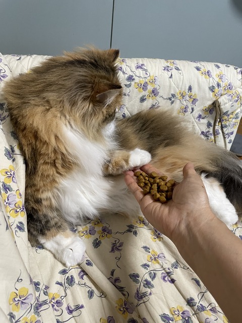 8D7DCA80-DD6C-496D-BEB3-FB05BC322D0B