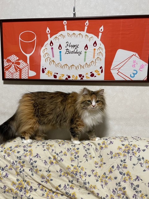 F18A93E2-7974-44EF-AE6C-B0E9C69641BA