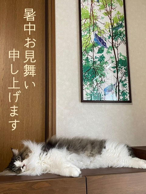 D19049E0-E767-4A59-9C5A-4458FD086628