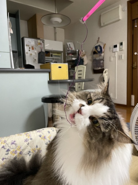 CD58B1A9-58FB-4482-AE20-EA34852EC98F