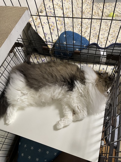 010BEBC3-5D14-4896-B253-7AF254C9AD8D