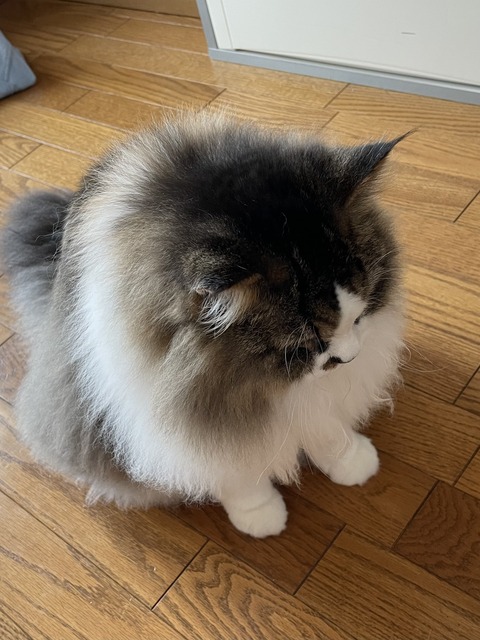 DCB42C77-5F7A-479F-8469-85B38BAB4DF9