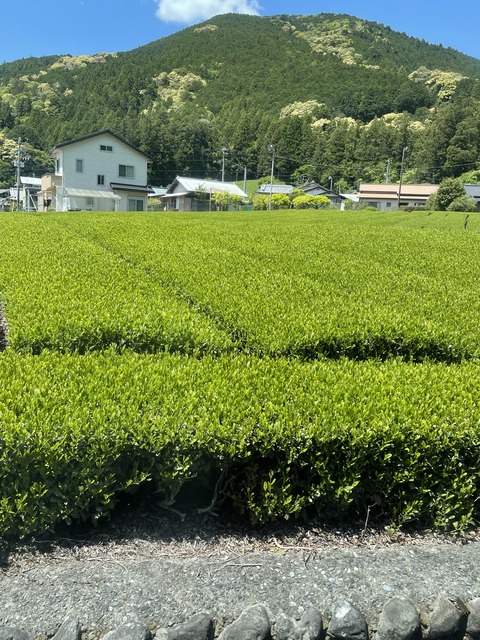 FA9DDE95-D4AB-4945-ACD6-E04807812853