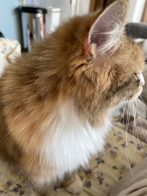 9C9ADFF2-B194-4051-B174-2C0A39477B76