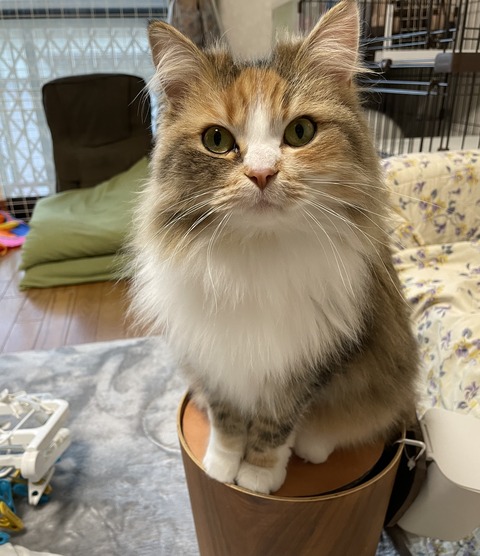 2821B5F9-4D94-469D-AE73-22149EAA1733