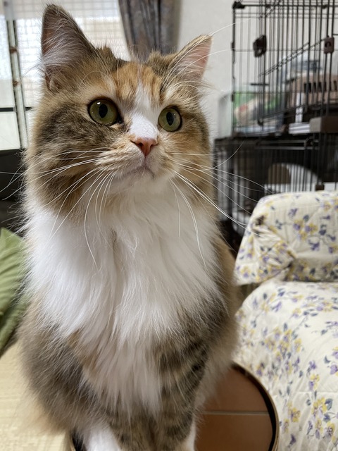 C2757A0C-4606-4E21-8C1C-2F536064A227