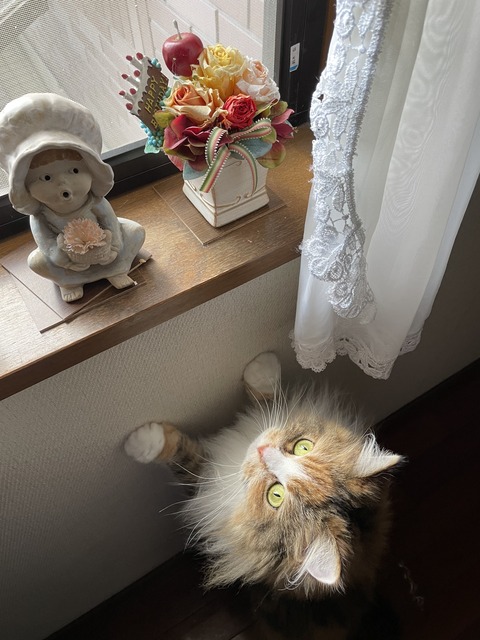 5A881000-5538-4CEA-A99C-81C458433DC6